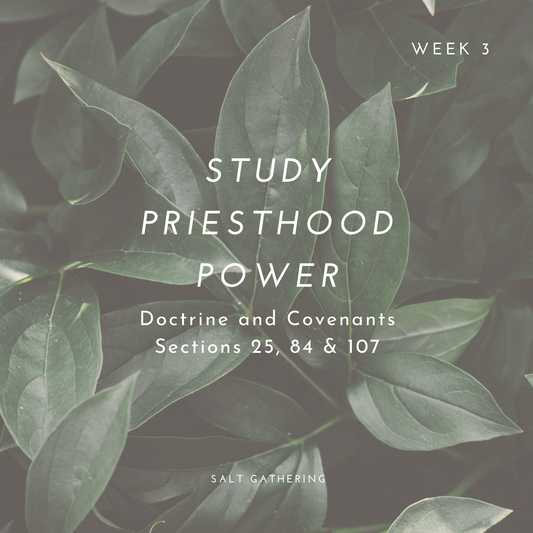 Study Priesthood Power -- Doctrine and Covenants Sections 25, 84 and 107